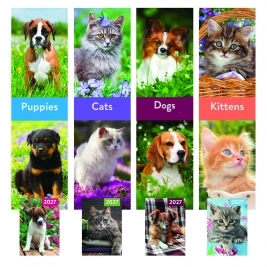 Calendar & Diary Cats  Dogs  Kittens  Puppies